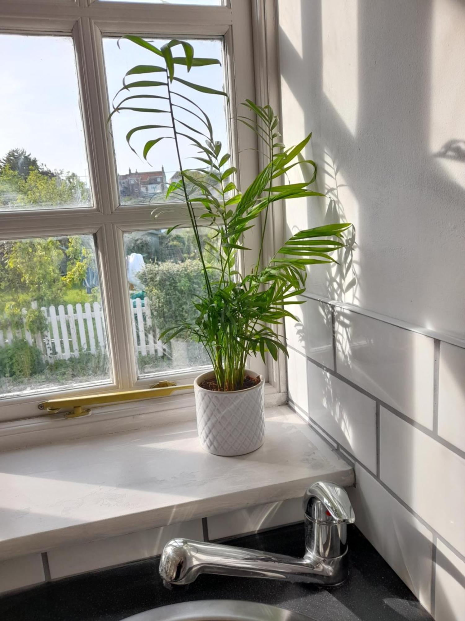 My Little Studio Farmborough Exterior photo